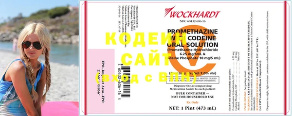соль ск Медвежьегорск